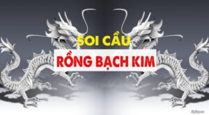 soi cầu rồng bạch kim